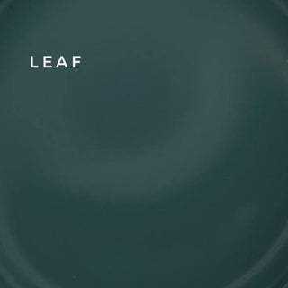 Touch Cover base Leaf (15ml)