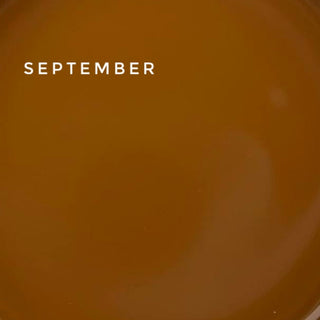 Touch Cover base September (15ml)